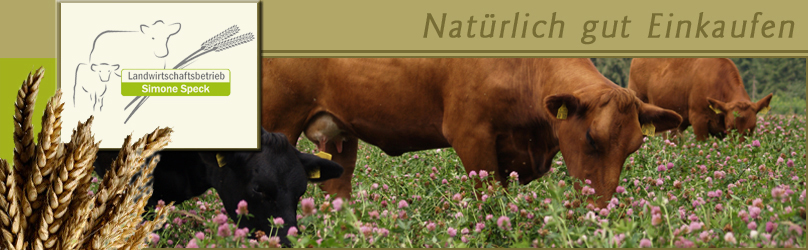 Rinder im Klee. Landwirtschaftsbetrieb Simone Speck. Natürlich gut einkaufen.